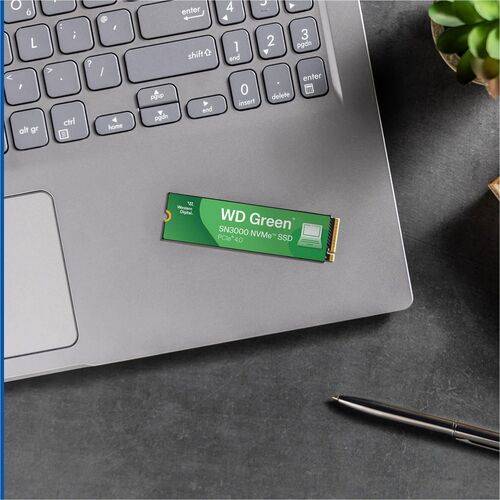Disque dur externe WD GREEN SN3000 MULTI 10 de 500 Go (PCIE NVME POLARIS3 M.2)