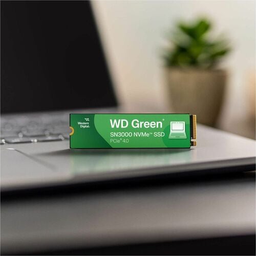 Disque dur externe WD GREEN SN3000 MULTI 10 de 500 Go (PCIE NVME POLARIS3 M.2)