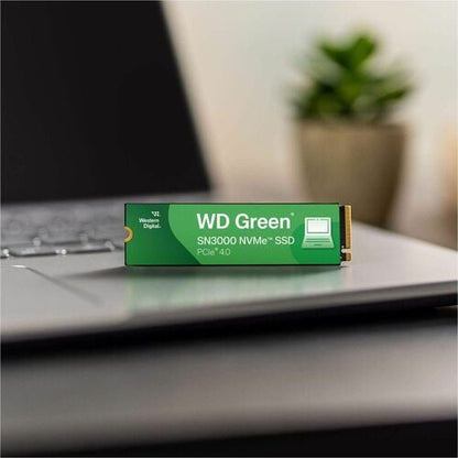 Disque dur externe WD GREEN SN3000 MULTI 10 de 500 Go (PCIE NVME POLARIS3 M.2)