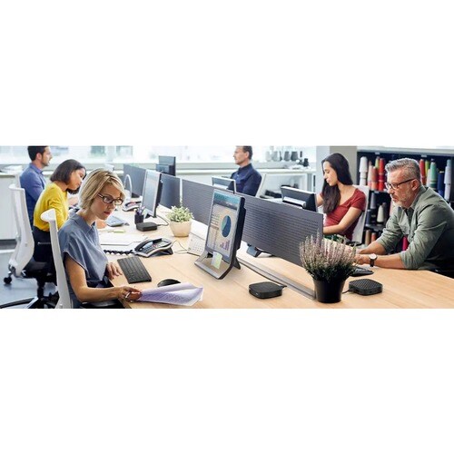 HP Elite t655 Thin Client Ryzen Embedded R2314 Quad-core (4 Core) 2.10 GHz  - AMD Chip