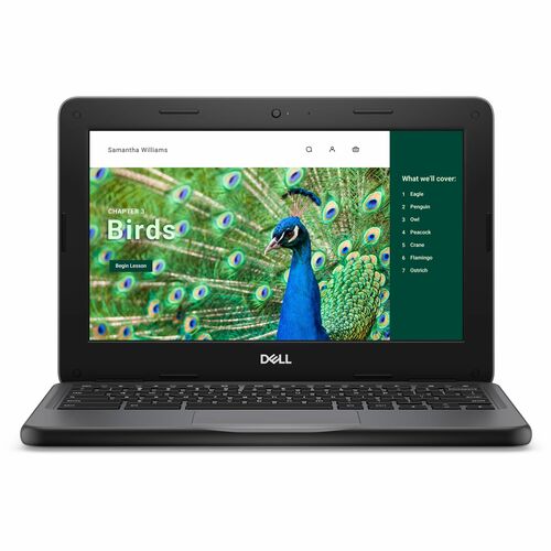 Dell Chromebook 3000 3120 11.6\" Touchscreen Clamshell Chromebook - HD - Intel N