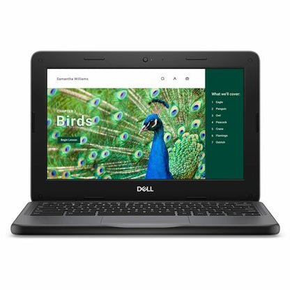 Dell Chromebook 3000 3120 11.6\" Touchscreen Clamshell Chromebook - HD - Intel N
