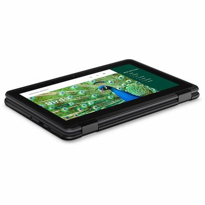 Dell Chromebook 3000 3120 11.6\" Touchscreen Clamshell Chromebook - HD - Intel N