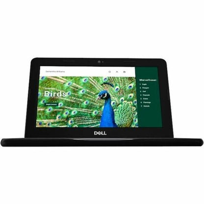 Dell Chromebook 3000 3120 11.6\" Touchscreen Clamshell Chromebook - HD - Intel N