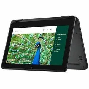 Dell Chromebook 3000 3120 11.6\" Touchscreen Clamshell Chromebook - HD - Intel N