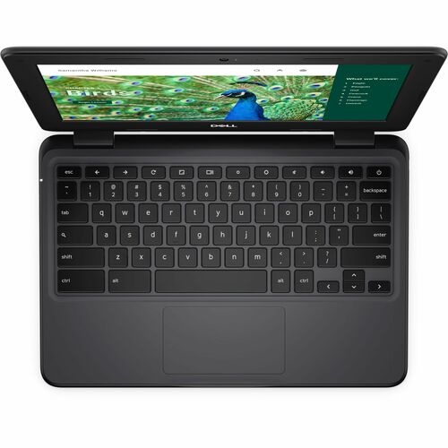 Dell Chromebook 3000 3120 11.6\" Touchscreen Clamshell Chromebook - HD - Intel N