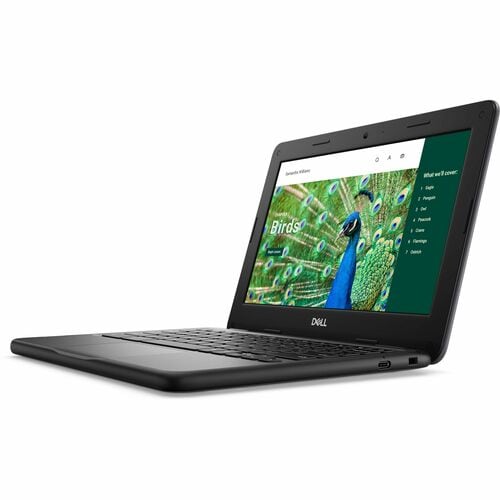 Dell Chromebook 3000 3120 11.6\" Touchscreen Clamshell Chromebook - HD - Intel N