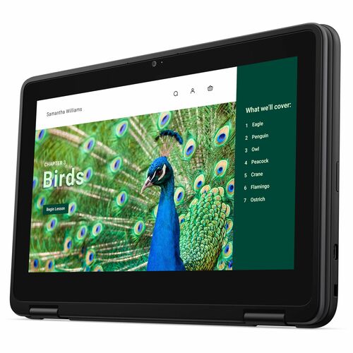 Dell Chromebook 3000 3120 11.6\" Touchscreen Clamshell Chromebook - HD - Intel N