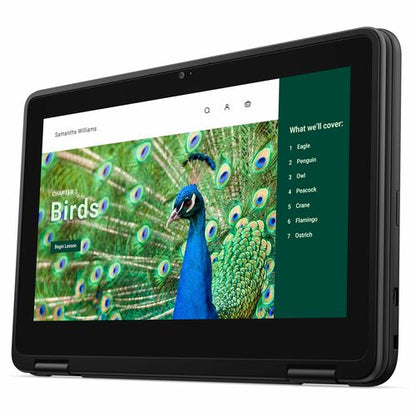 Dell Chromebook 3000 3120 11.6\" Touchscreen Clamshell Chromebook - HD - Intel N