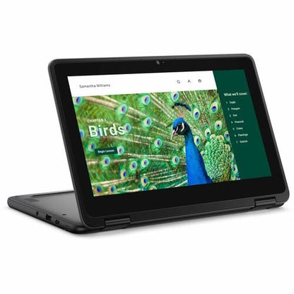 Dell Chromebook 3000 3120 11.6\" Touchscreen Clamshell Chromebook - HD - Intel N