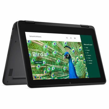 Dell Chromebook 3000 3120 11.6\" Touchscreen Clamshell Chromebook - HD - Intel N