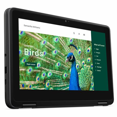 Dell Chromebook 3000 3120 11.6\" Touchscreen Clamshell Chromebook - HD - Intel N