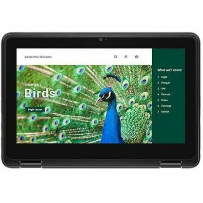 Dell Chromebook 3000 3120 11.6\" Touchscreen Clamshell Chromebook - HD - Intel N