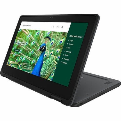 CHROMEBOOK 3120 N100 8GB 64GB EMMC 11.6IN HD+T 1366X768 3C 6
