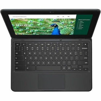 CHROMEBOOK 3120 N100 8GB 64GB EMMC 11.6IN HD+T 1366X768 3C 6