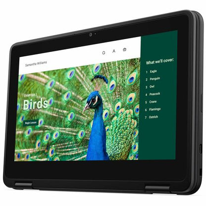 CHROMEBOOK 3120 N100 8GB 64GB EMMC 11.6IN HD+T 1366X768 3C 6