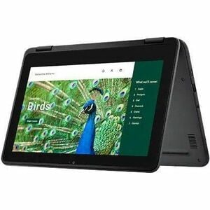CHROMEBOOK 3120 N100 8GB 64GB EMMC 11.6IN HD+T 1366X768 3C 6