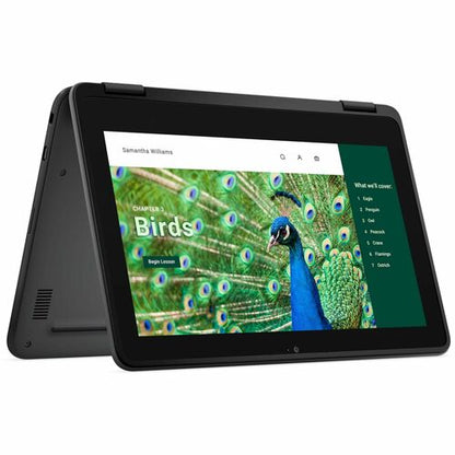 CHROMEBOOK 3120 N100 8GB 64GB EMMC 11.6IN HD+T 1366X768 3C 6