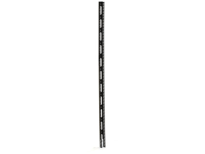 Black Box Corp T Raceway, 2Inh X 2Inw, 67Inl Rmt301A-R2