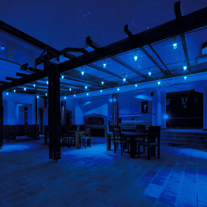 Atomi Smart Wi-Fi Coloro Outdoor String Lights, 48 ft. (AT1901 CA)