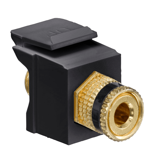 Leviton Quickport Binding Post Black Stripe Black (40833-BEE)