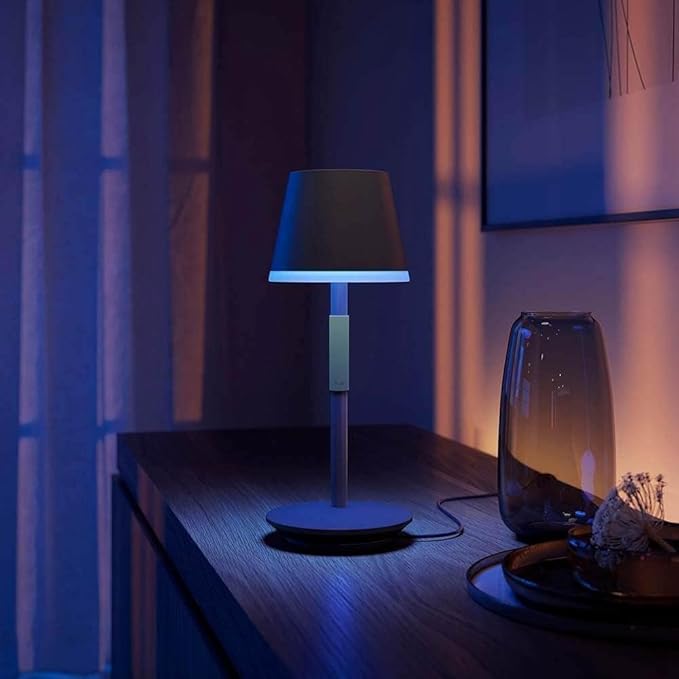 HUE GO PORTABLE TABLE LAMP W NAM