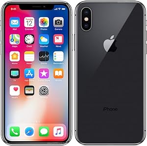 iPhone X 256GB