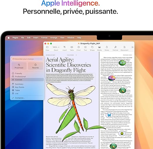 Apple 2025 MacBook Air, FR MBA 13IN M4 CHIP 10C CPU 10C GPU 16GB 512GB SSD-Starlight