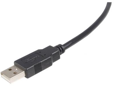 Câble USB 2.0 A vers B Startech.Com de 30 cm (1 pi) - M/M - Câble USB - USB vers