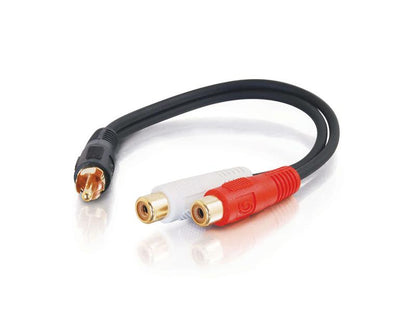 Câble Y C2G RCA mâle vers (2) RCA femelles