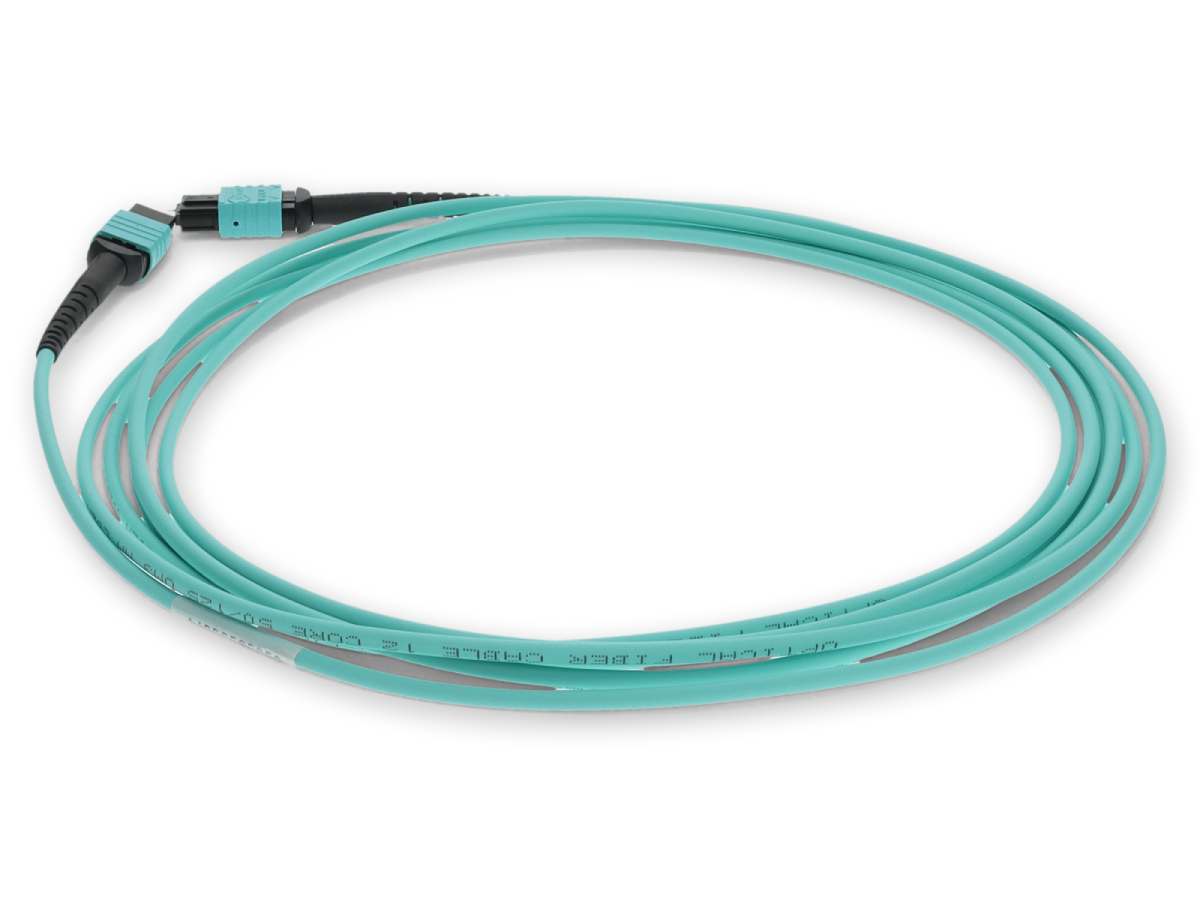 Complemento dmpompo3M5M3Sm 3M Om3 Aqua Duplex Parc
