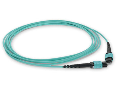 Complemento dmpompo3M5M3Sm 3M Om3 Aqua Duplex Parc