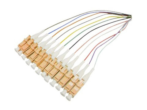 Complemento-Onadd-Pt12-1Mlcom1 1M Om1 Cerdo Multicolor