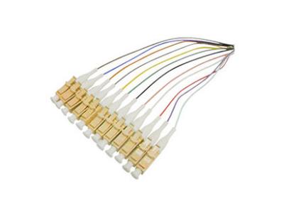 Add-Onadd-Pt12-3Mscos1 3M Os1 Cerdo Multicolor
