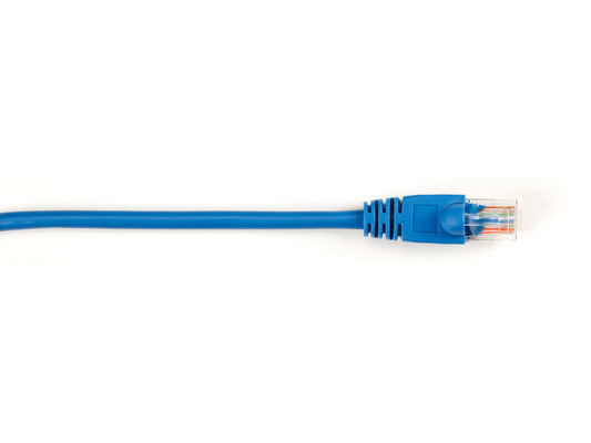Patch de protection moulé Cat5E bleu de 1,2 m (4 pi) de Black Box Corp