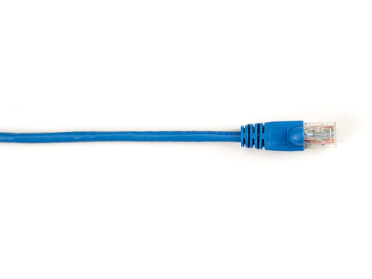 Patch de protection moulé Cat6 Black Box Corp, bleu, 60 cm