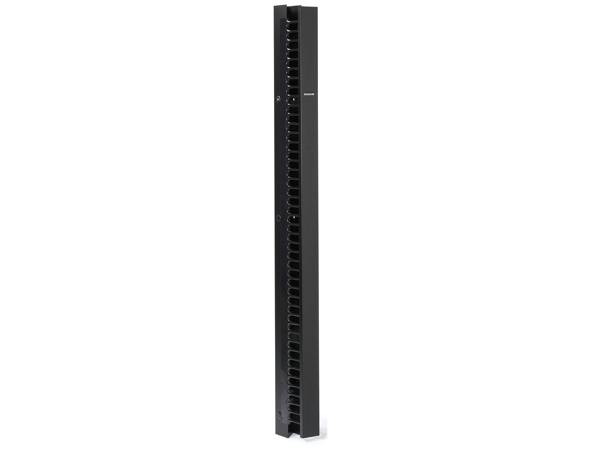Black Box Corp 45U x 3,5 po de largeur, armoire verticale de luxe double face