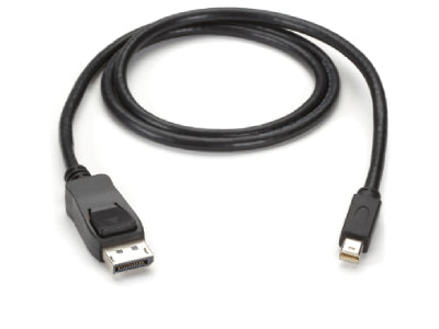 Câble RT vers DisplayPort Black Box Corp Envmdpdp-0003-Mm