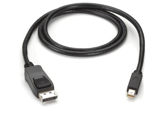 Câble RT vers DisplayPort Black Box Corp Envmdpdp-0006-Mm