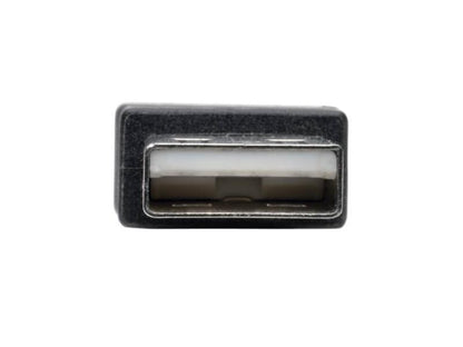 Adaptador USB a serie DB9 FTDI de 2 puertos de Tripp Lite