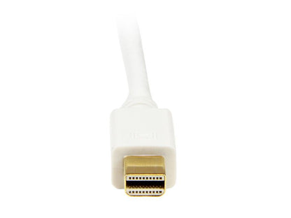 Cable adaptador Mini DisplayPort a DVI de Startech.com (1,8 m) - Mini DP