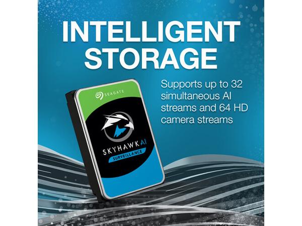 Seagate Skyhawk Ai 16Tb Sata