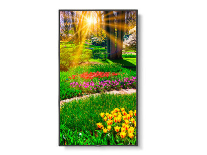 Pantalla profesional Sharp Nec de 49 pulgadas, 4K UHD, 24/7, 500 nits, horizontal