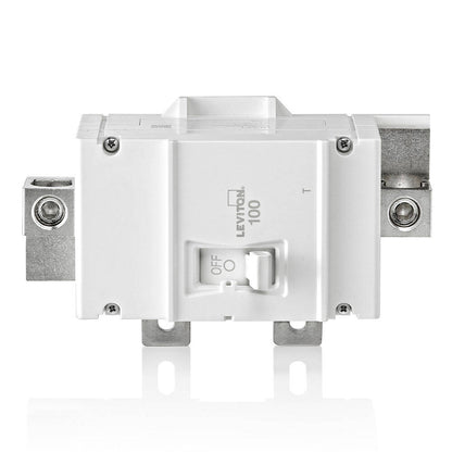 Leviton Main Breaker (FG) Basic 2SP 100A, Thermal (LM100-T)
