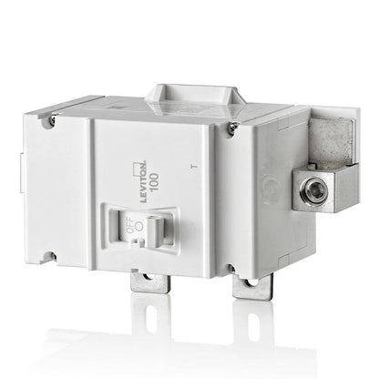 Leviton Main Breaker (FG) Basic 2SP 100A, Thermal (LM100-T)