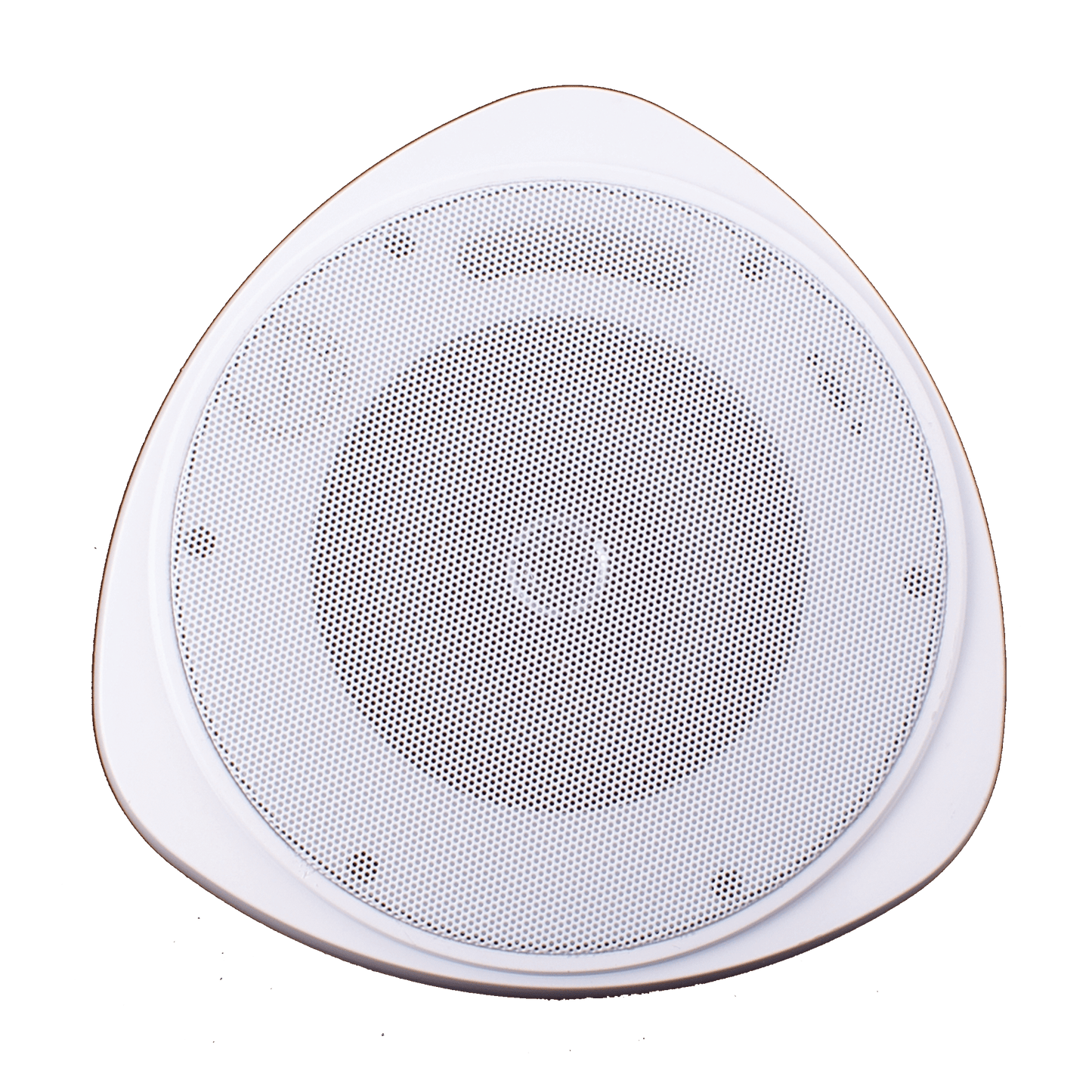 Speco 30 Watt RMS 5" Pendant Speaker with Hanging Chain - White (SPE-SP30PT)