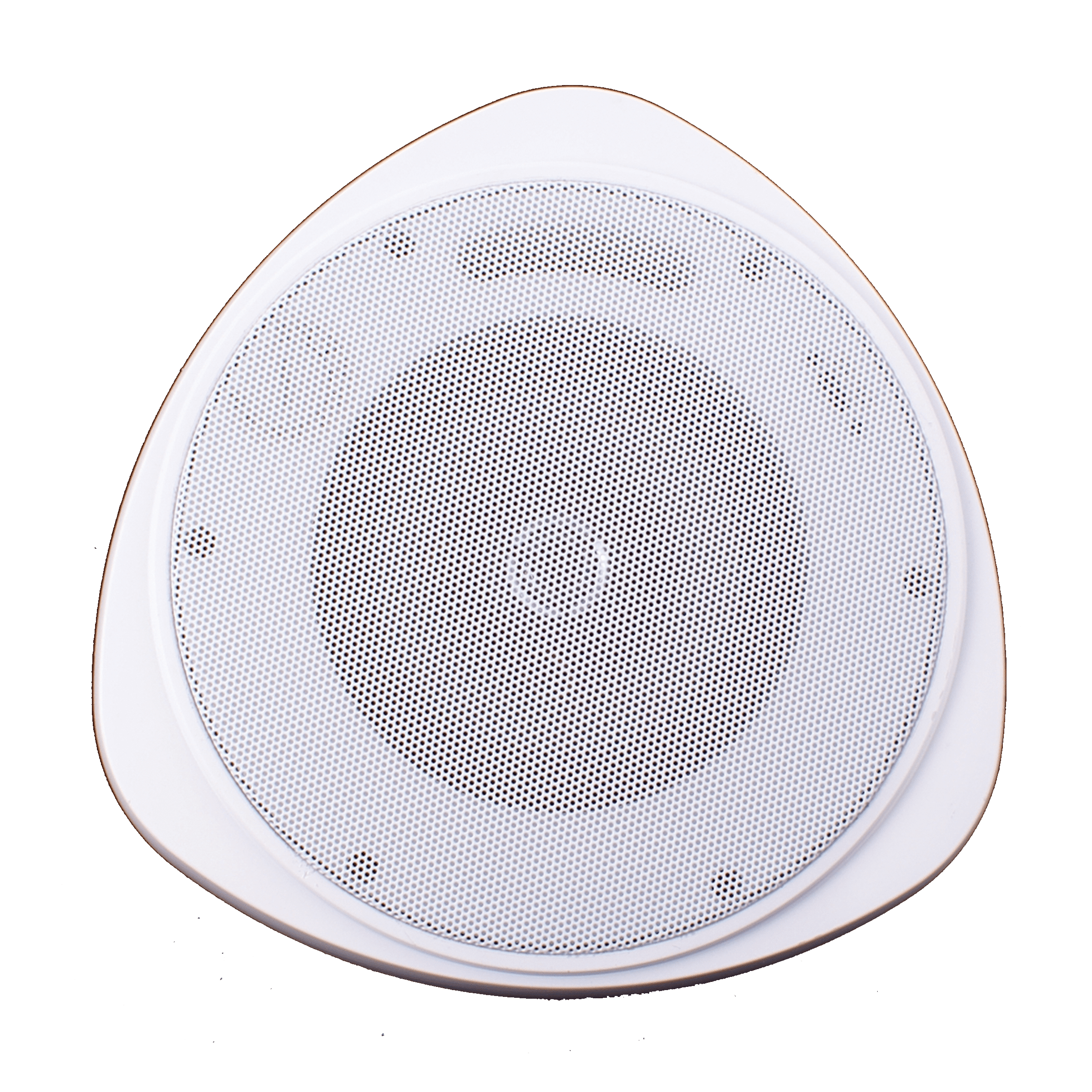Speco 30 Watt RMS 5" Pendant Speaker with Hanging Chain - White (SPE-SP30PT)