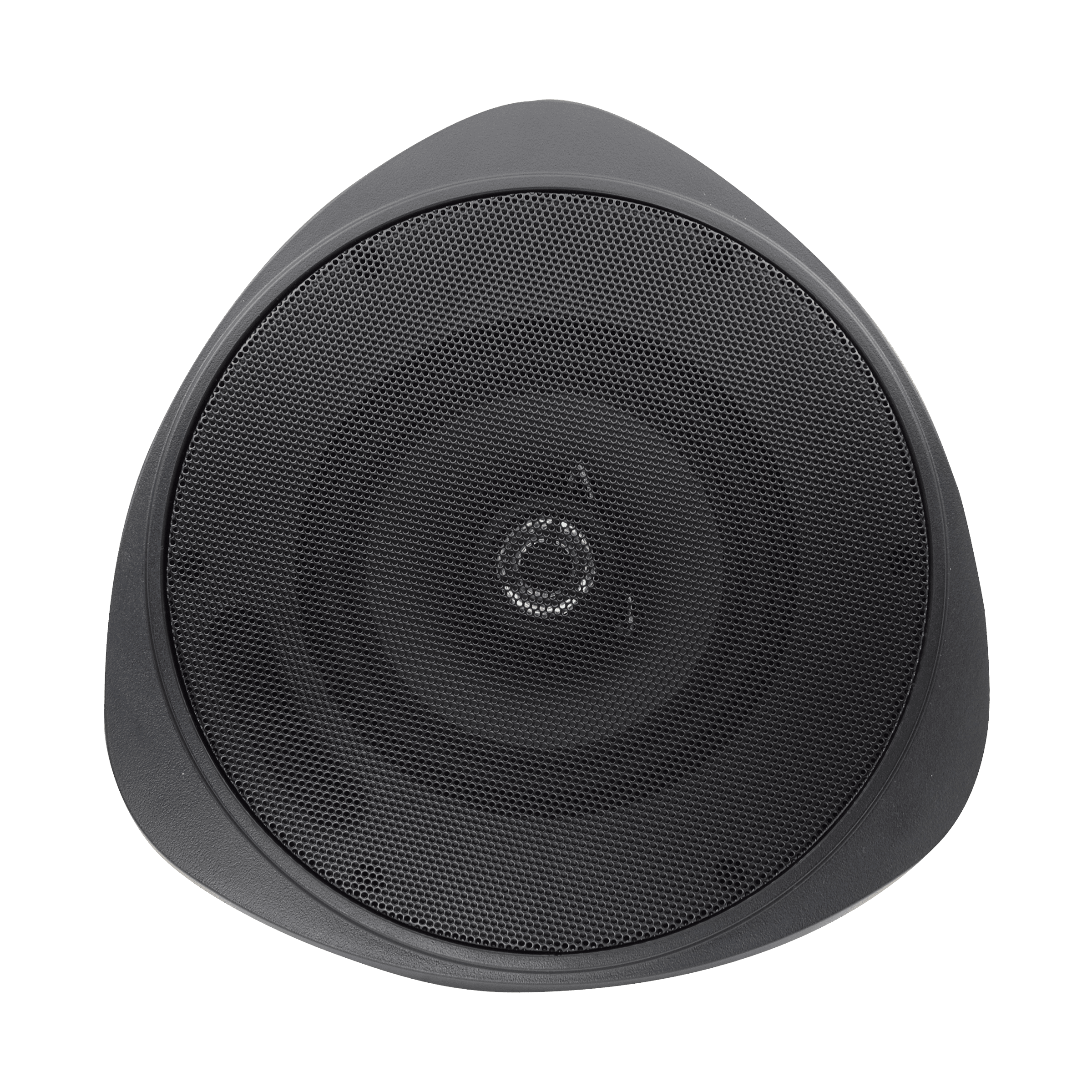 Speco 30 Watt RMS 5" Pendant Speaker with Hanging Chain - Black (SPE-SP30PTB)